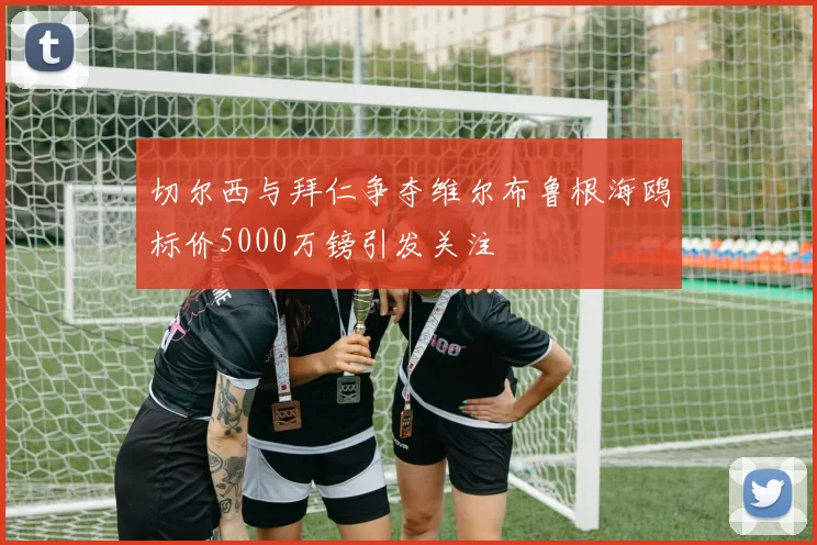 切尔西与拜仁争夺维尔布鲁根海鸥标价5000万镑引发关注